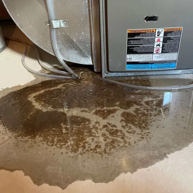 Pipe Burst and Leak Restoration in Oakland County, MI
